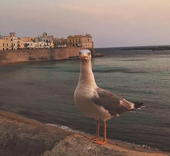 Vakantiehuis Dimora Tipica Del 600 - Centro Storico